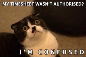 timesheet2