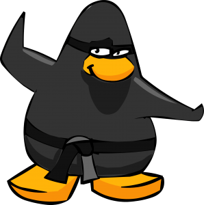 Ninja